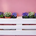 Iulia Augusta Bed & Breakfast 3*