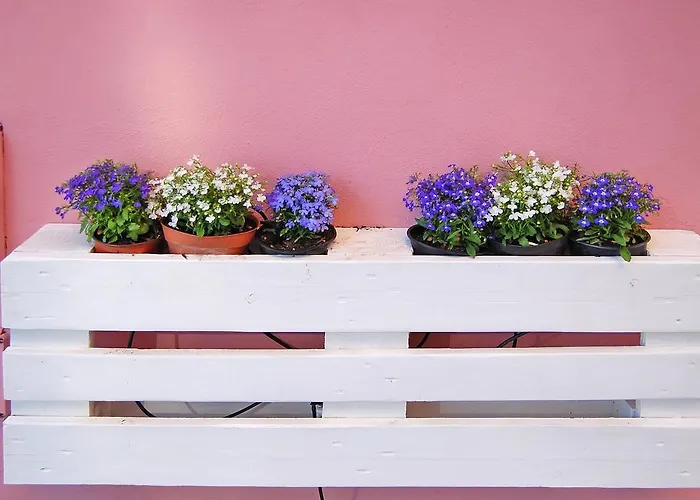 Iulia Augusta Отель типа 