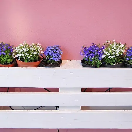 Iulia Augusta Oda ve Kahvaltı 3*